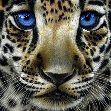 Схема вышивки «дикие»