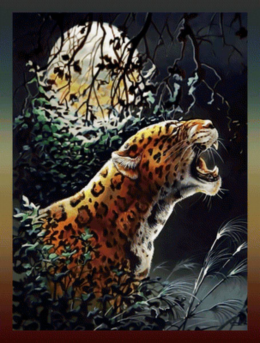 Леопард - леопард хищник ночь луна - предпросмотр