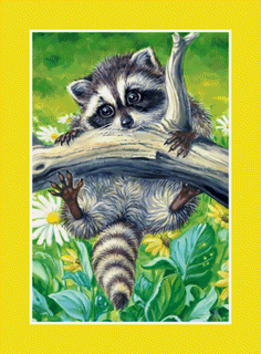 Крошка Енот - енот маленький - предпросмотр