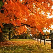 Схема вышивки «осень»