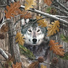 Схема вышивки «волк»