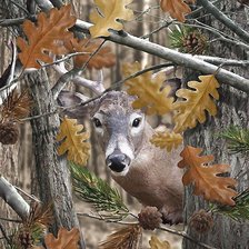 Схема вышивки «олень»