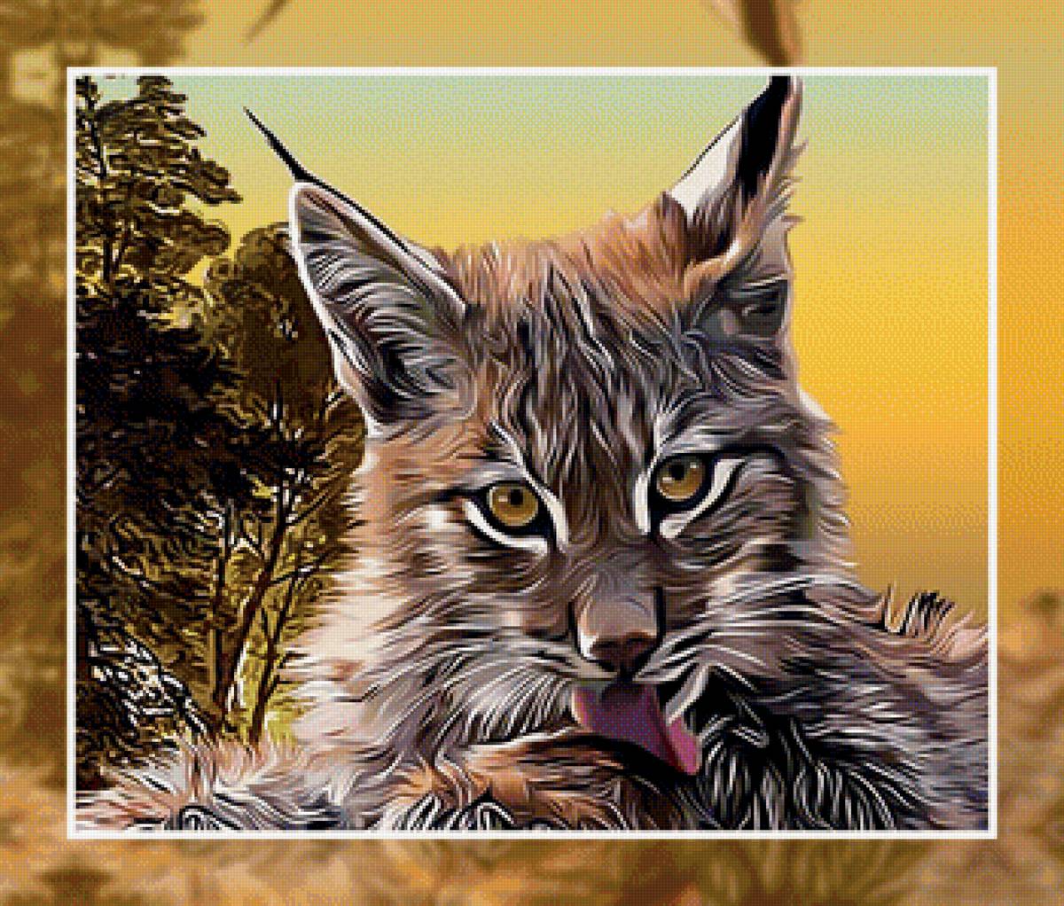 Рысь - рысь хищник - предпросмотр