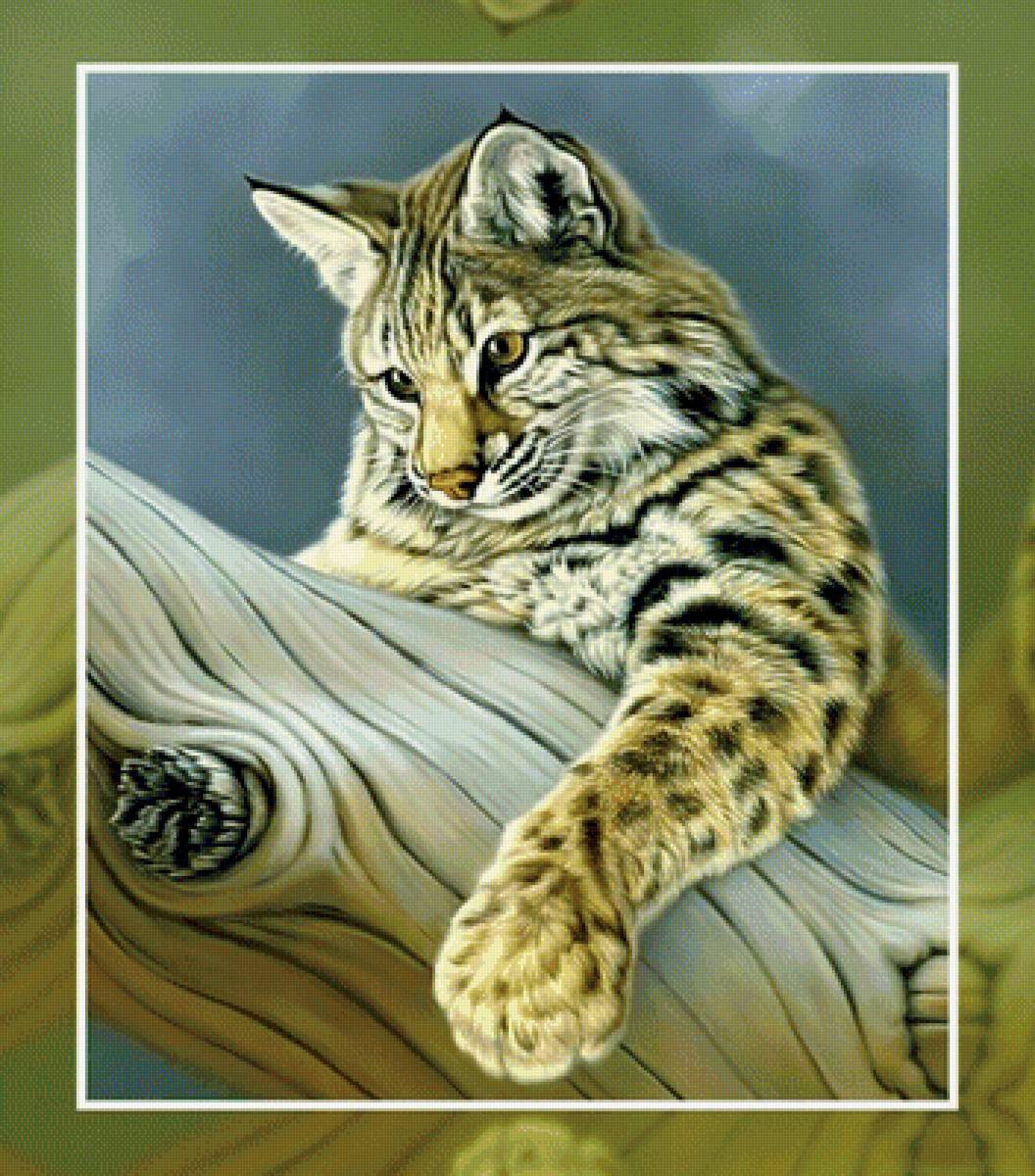 Хищник - хищник взгляд - предпросмотр