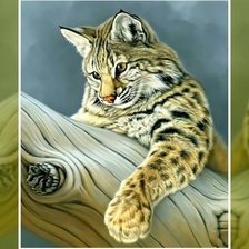 Схема вышивки «Хищник»