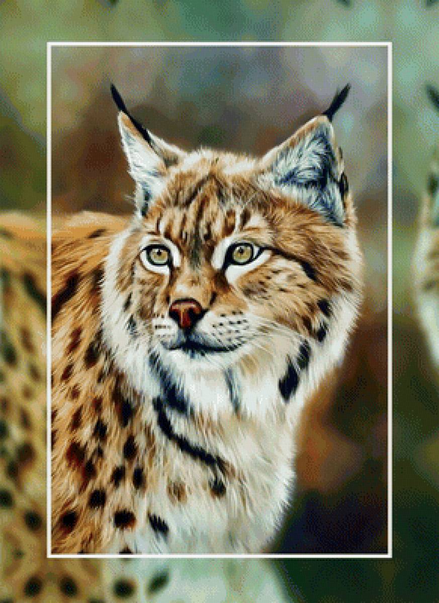 Рысь - рысь хищник - предпросмотр