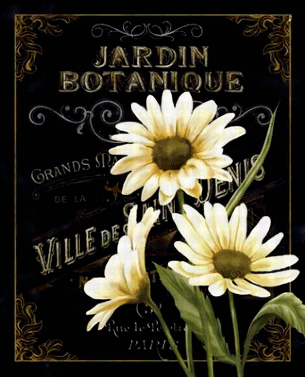 Ромашки. Винтаж. - цветы винтажные - предпросмотр