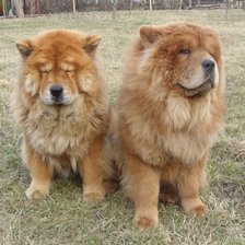 Схема вышивки «№1933526»