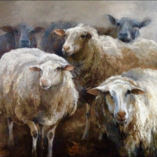 Схема вышивки «barany»