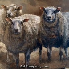 Схема вышивки «barany»