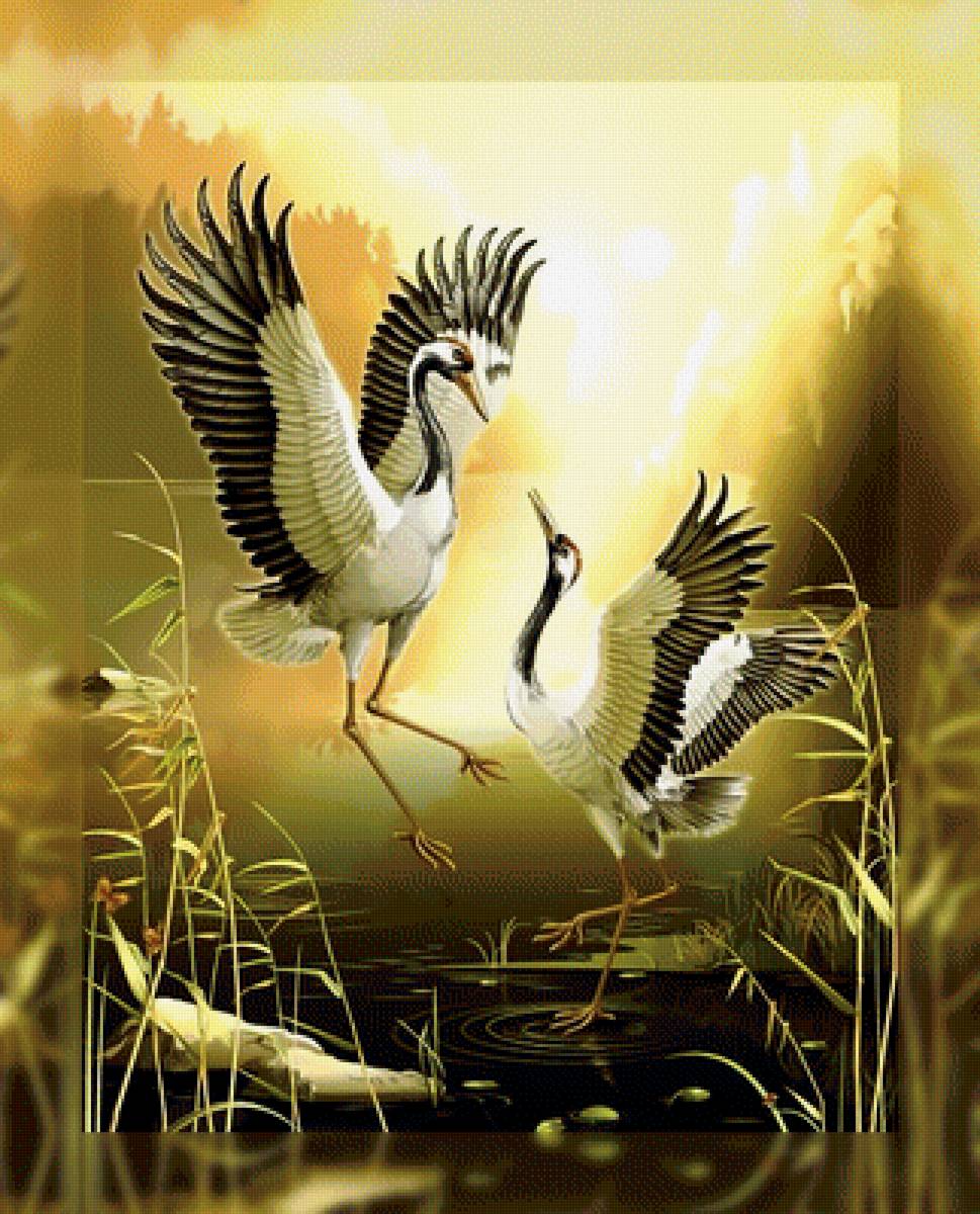 Танец журавлей - журавли танец камыш пруд - предпросмотр