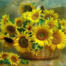Схема вышивки «Подсолнухи»