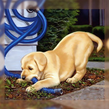 Схема вышивки «Щенок и шланг.»