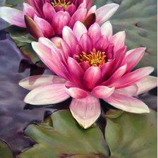 Схема вышивки «цветы»