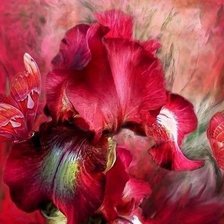 Схема вышивки «ирис»