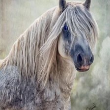 Схема вышивки «Лошадь»