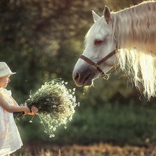 Схема вышивки «Девочка и лошадь»