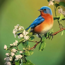 Схема вышивки «Просто птичка.»