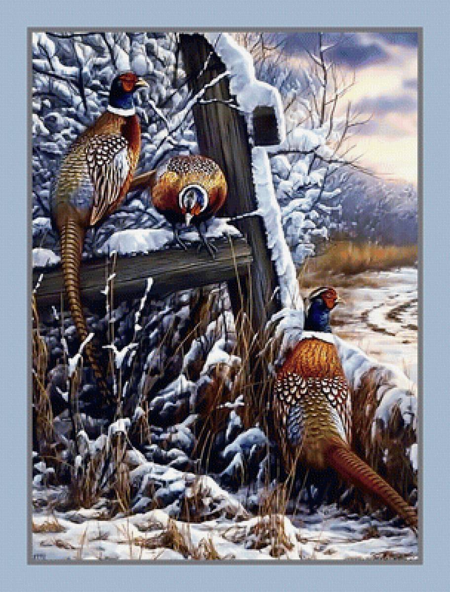 Птицы. - птицы зима снег - предпросмотр