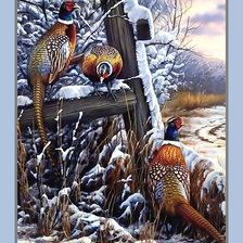 Схема вышивки «Птицы.»