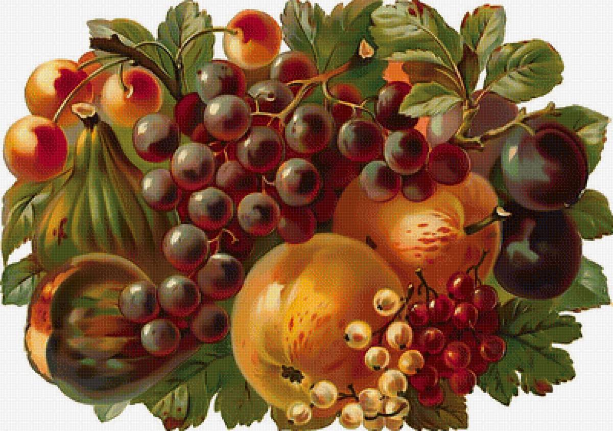 Фруктовый натюрморт. - фрукты натюрморт - предпросмотр