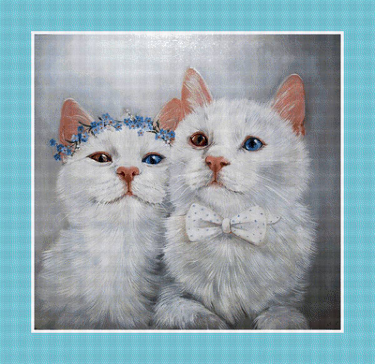 №1934988 - животные, коты - предпросмотр