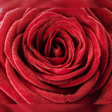 Схема вышивки «№1935040»