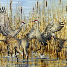 Схема вышивки «птицы»