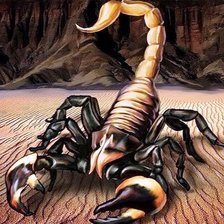 Схема вышивки «Скорпион»