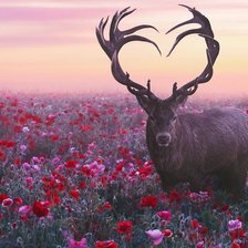 Схема вышивки «Олень»