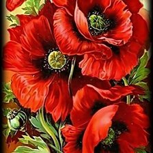 Схема вышивки «Маки.»