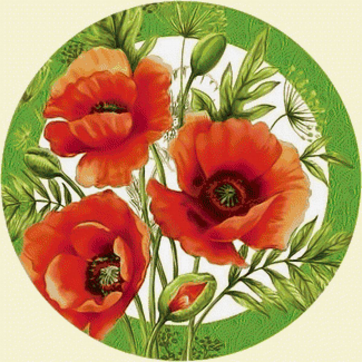 Маки. . - красные, маки. - предпросмотр