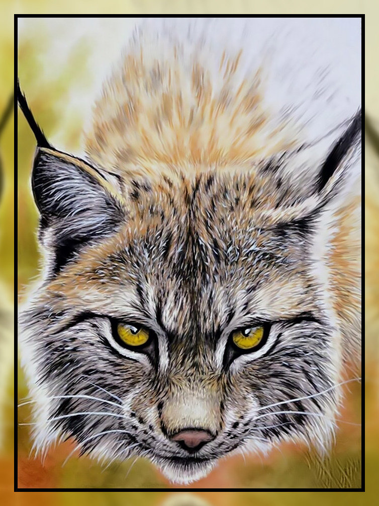 Рысь. Взгляд. - хищник, взгляд., рысь - оригинал