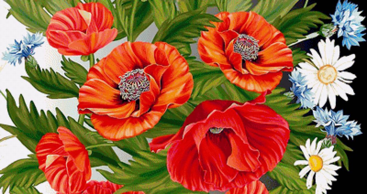 Серия "Маки". - флора, цветы, маки - предпросмотр