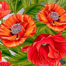 Схема вышивки «Серия "Маки".»