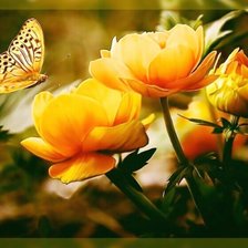 Схема вышивки «Жёлтые цветы.»