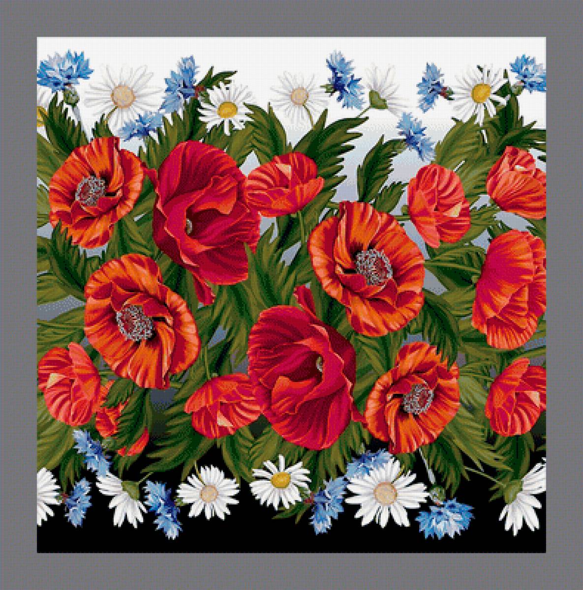 Серия "Маки". - маки, цветы, флора - предпросмотр