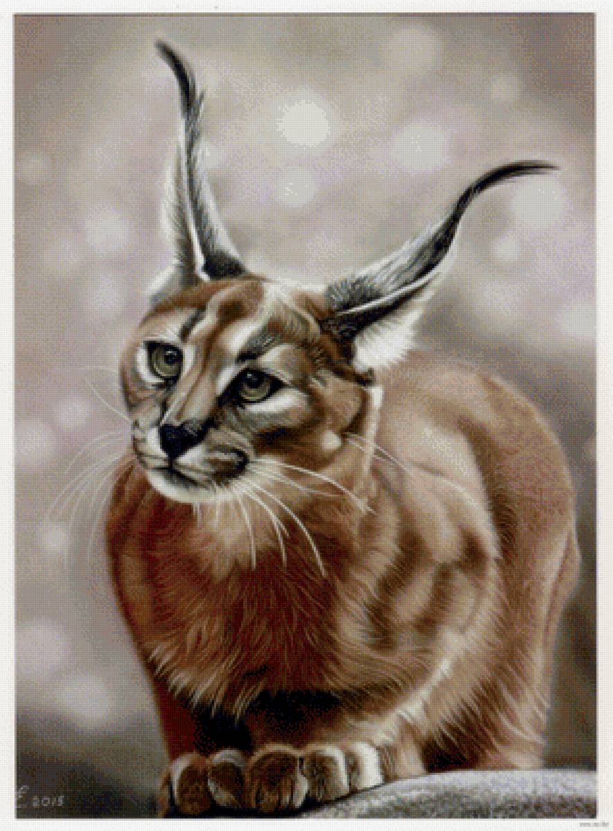 Каракал. Художник Перепелятник Екатерина - животное, художник, кошки - предпросмотр