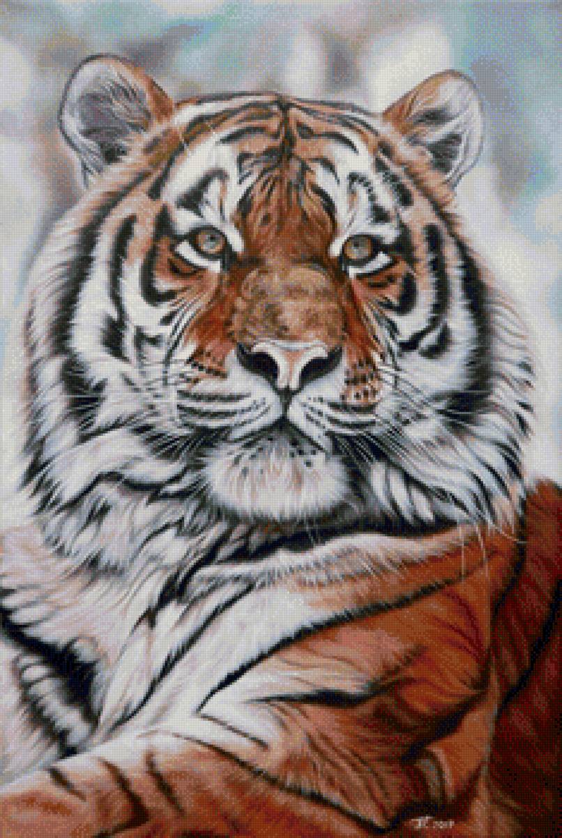 Тигр. Художник Перепелятник Екатерина - животное, художник, кошки - предпросмотр