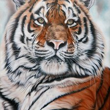 Тигр. Художник Перепелятник Екатерина
