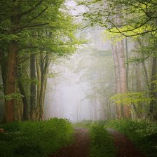 Схема вышивки «Лесная дорога»