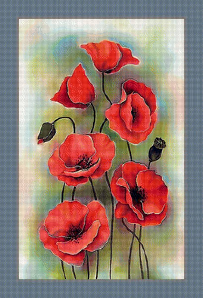 Маки. - красные, маки. - предпросмотр