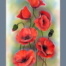 Схема вышивки «Маки.»