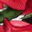 Предпросмотр схемы вышивки «Розы.» (№1935675)