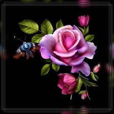 Схема вышивки «Роза в черном.»