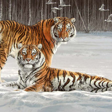 Схема вышивки «№1935946»