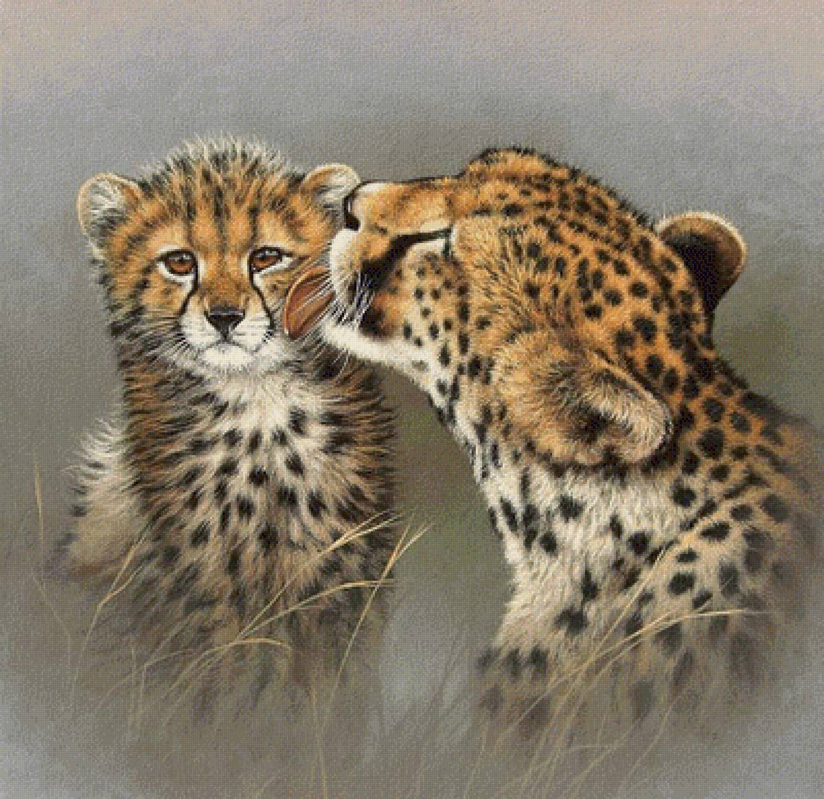 №1935947 - хищники, животные - предпросмотр