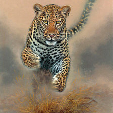 Схема вышивки «№1935950»