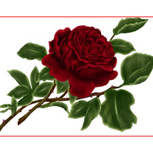 Схема вышивки «№1935965»