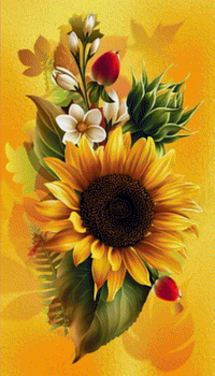 подсолнух - цветы, подсолнух - предпросмотр